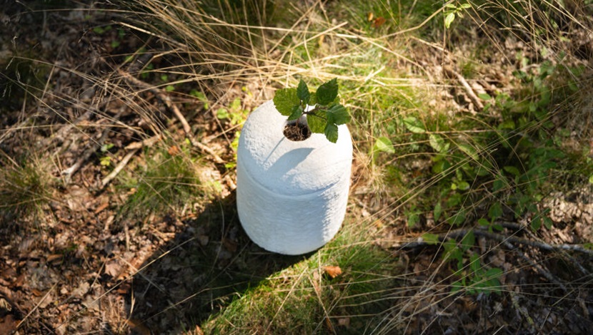 duurzame-uitvaart-urn-natuur