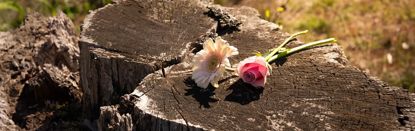 Herinneren bloemen hout