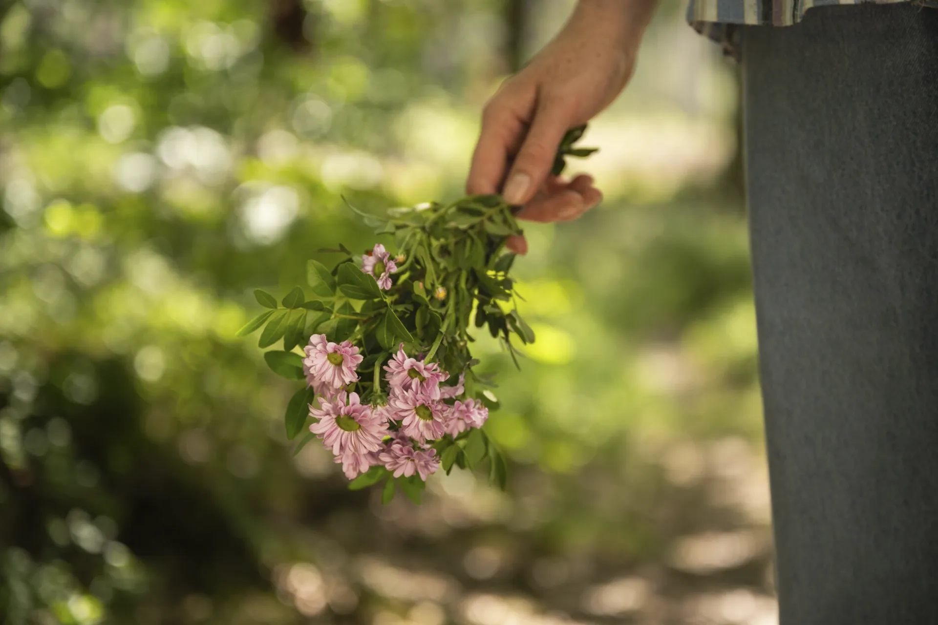 hand houdt bosje plukbloemen vast in een bos