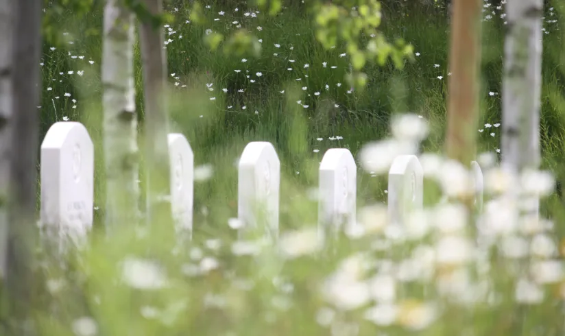 Veteranen begraafplaats