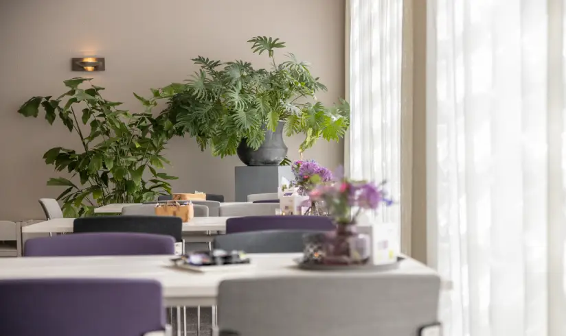 2 tafels met stoelen staat naast een raam