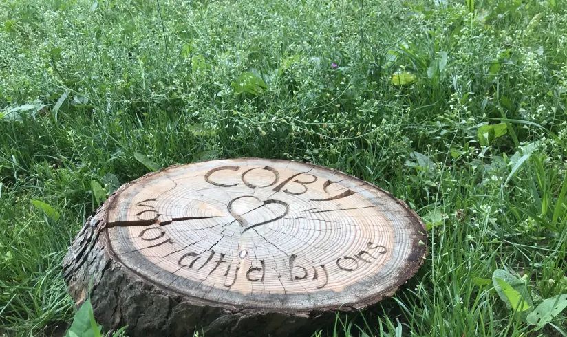 Natuurbegraafplaats Koningsakker