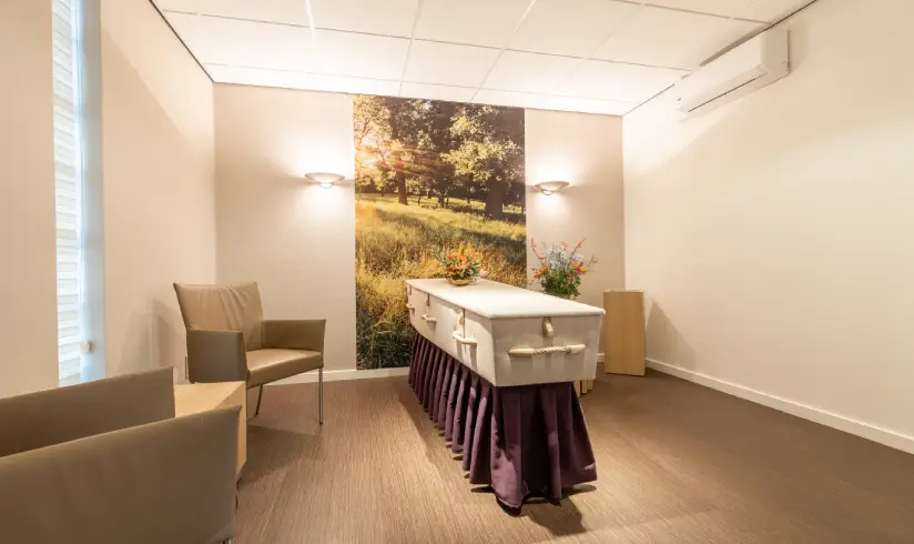 Een ruimte met een kist met bloemen, en 2 stoelen tegen de muur