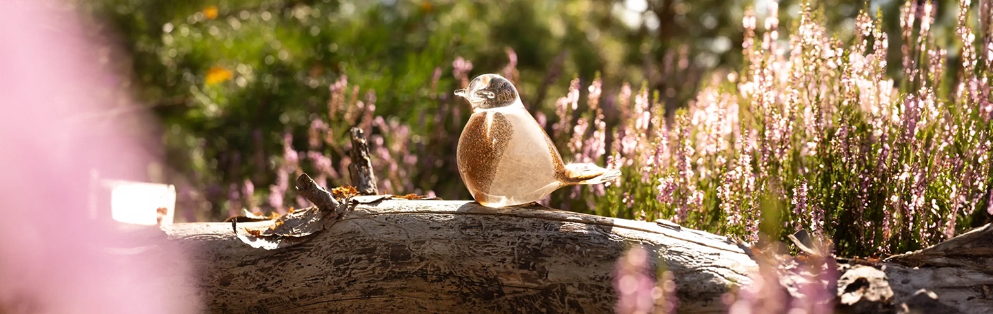 Vogeltje met as op boomstronk