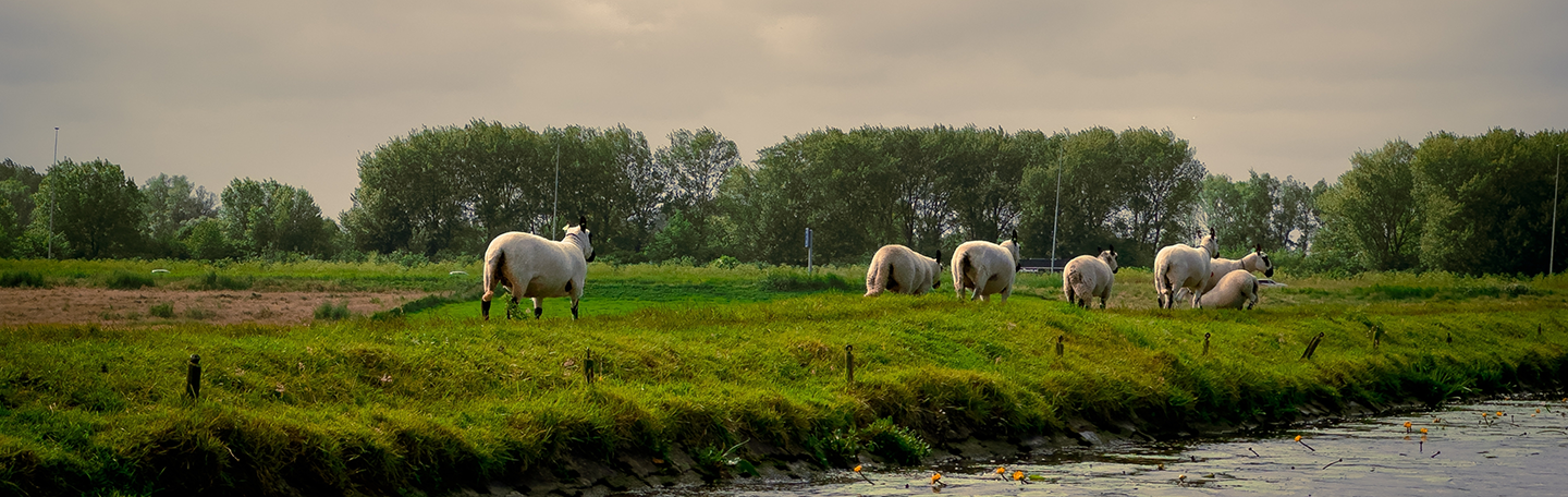 Monuta Voorschoten voorpagina header