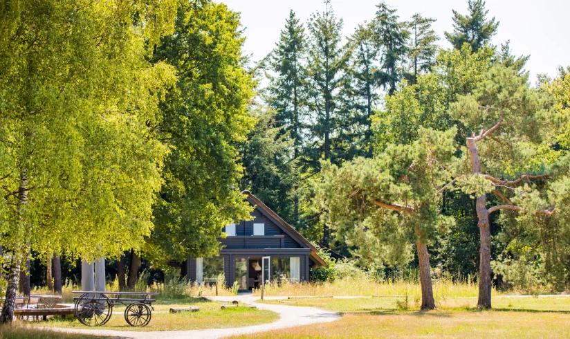 Natuurbegraafplaats Heidepol