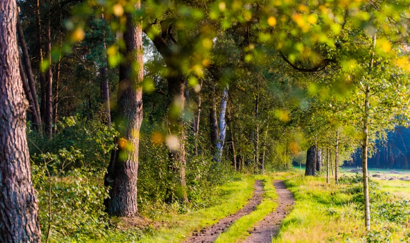 Natuurbegraafplaats Heidepol