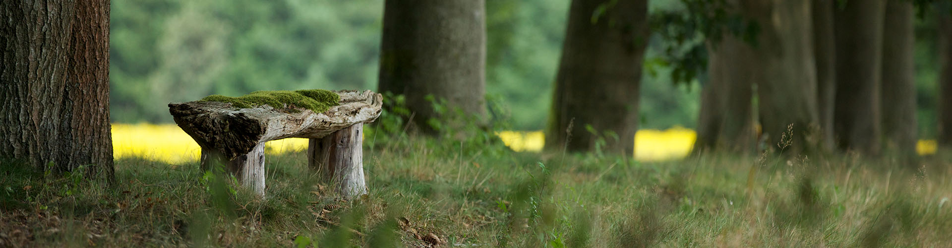 Begraven in de natuur - Monuta