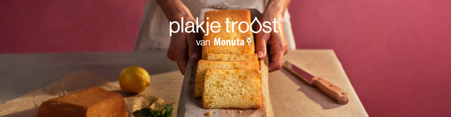 Plakje Troost banner