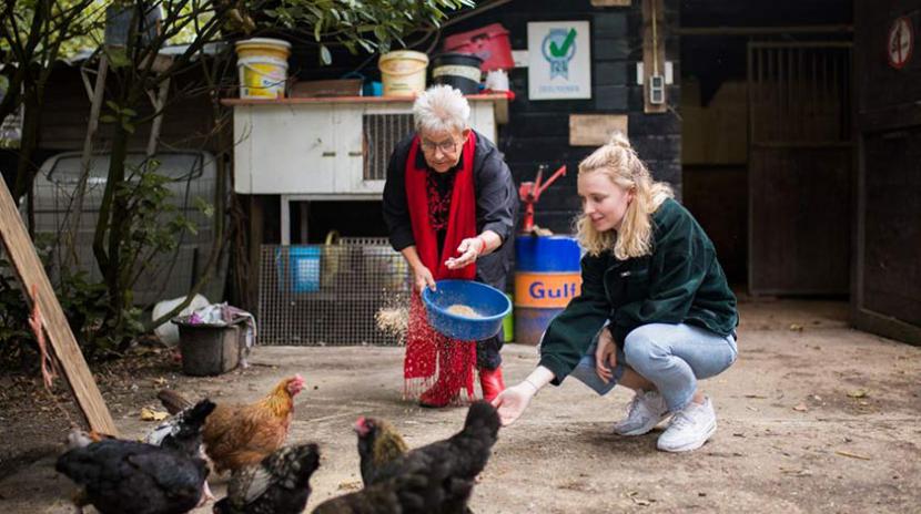 student helpt oudere vrouw met kippen voeren