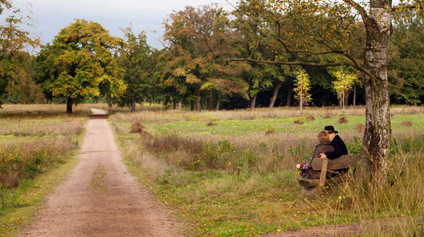 Natuurbegraafplaats Gelderland