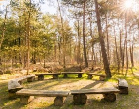 Natuurbegraafplaatsen in Arnhem begraven