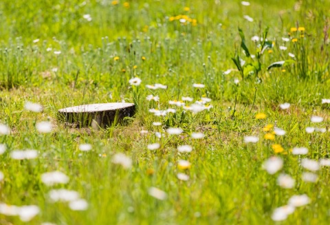 Natuurbegraafplaats Heidepol grafmarkering