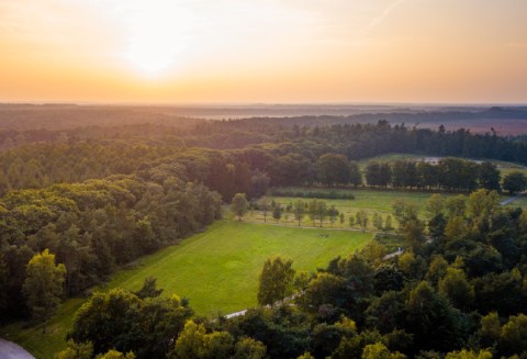 Openingstijden natuurbegraafplaatsen in Arnhem