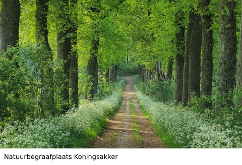 Looppaden Koningsakker Arnhem