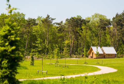 Natuurbegraafplaats Heidepol