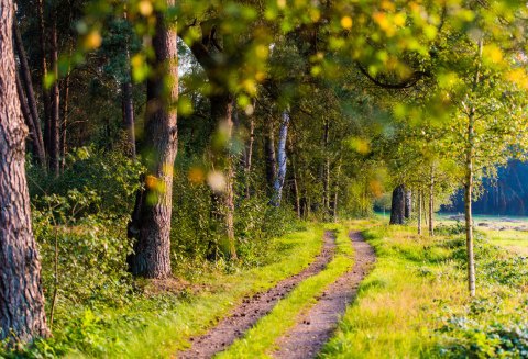 Natuurbegraafplaats Heidepol