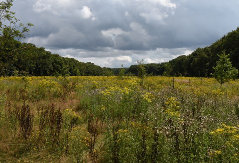 Natuurbegraafplaats Koningsakker