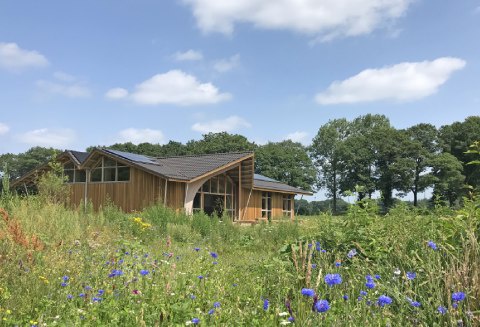 Natuurbegraafplaats Koningsakker